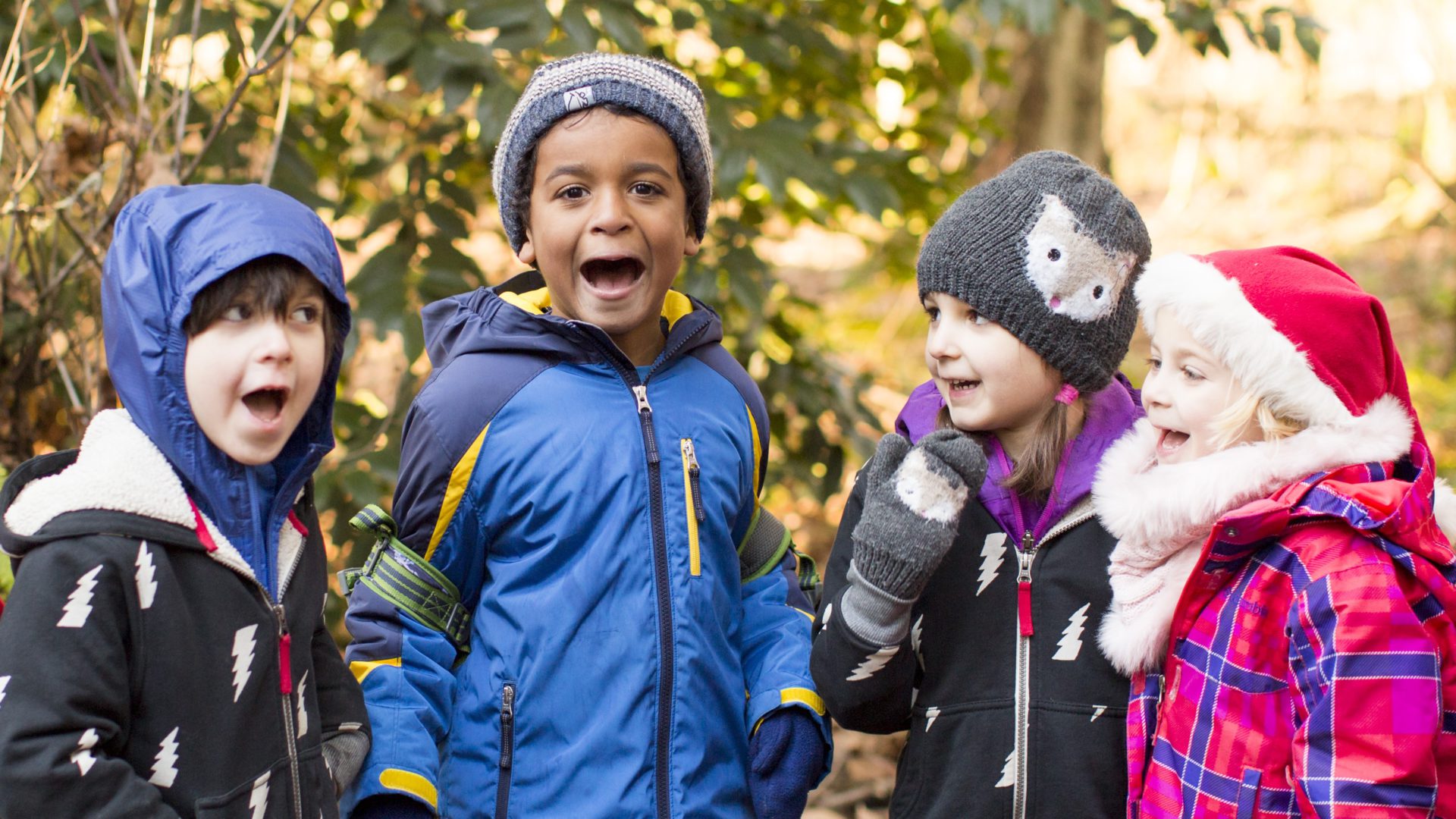 School Year Catalog Bay Area Trackers Earth